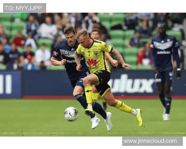 墨尔本胜利对阵大邱FC精彩比赛视频回顾与分析