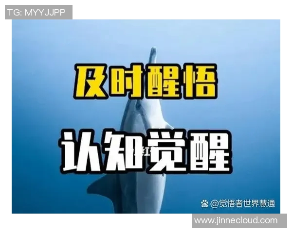 崔永熙：在时代变革中探索自我与社会的深刻联系与反思