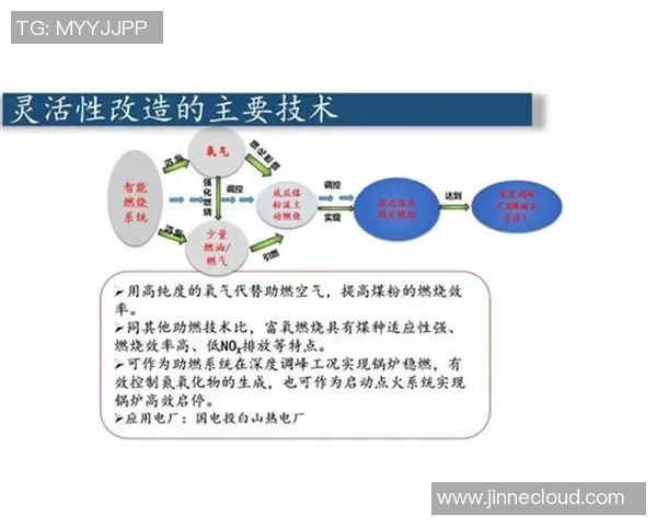 杭州乒乓球队灵活性分析与战术调整的深度探讨与研究MBA