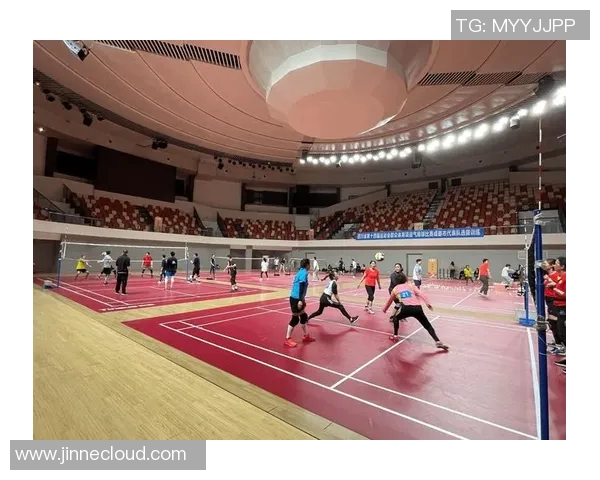 成都排球队技术争议引发热议球迷和专家各执己见探讨战术选择MBA