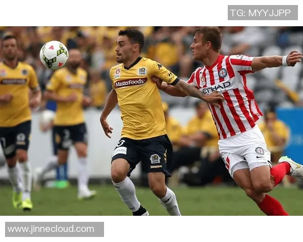 惠灵顿凤凰对阵中央海岸水手2019赛季精彩直播回顾与分析