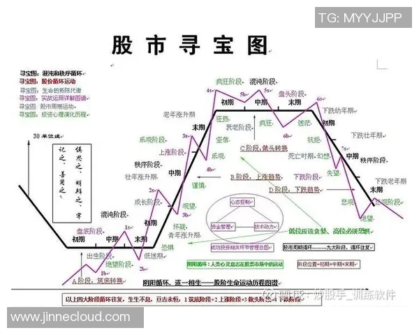 上海排球队战术解析与运营体系探讨助力球队全面提升竞争力