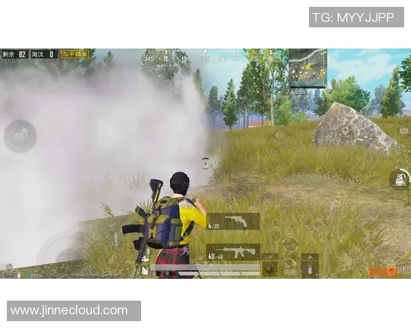 和平精英战术解析：WE战队在竞技中的策略与团队协作探讨