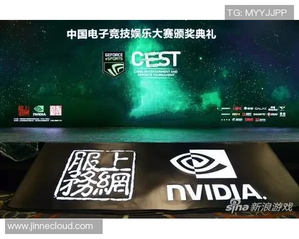 南京排球队加速转型引发热议新策略助力竞技水平提升